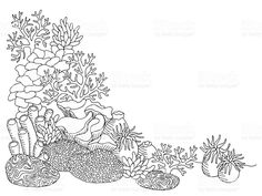 Easy Drawing Of Coral Reef At Paintingvalley Com Explore