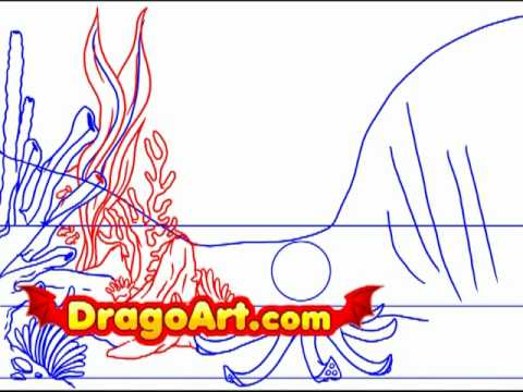 480x360 How To Draw A Coral Reef, Step - Easy Drawing Of Coral Reef