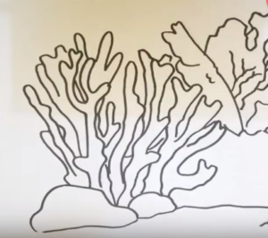 Easy Drawing Of Coral Reef at PaintingValley.com | Explore collection ...
