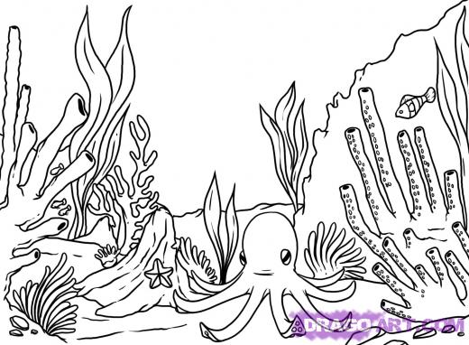 520x382 Learn How To Draw A Coral Reef, Other, Landmarks Places, Free - Easy Drawing Of Coral Reef