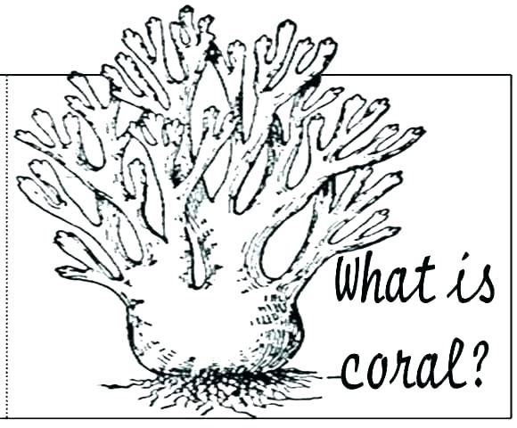 580x480 Simple Coral Reef Coloring Pages Great Free Clipart, Silhouette - Easy Drawing Of Coral Reef