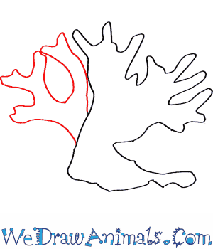 300x350 simple coral reef png transparent simple coral reef images - Easy Drawing Of Coral Reef