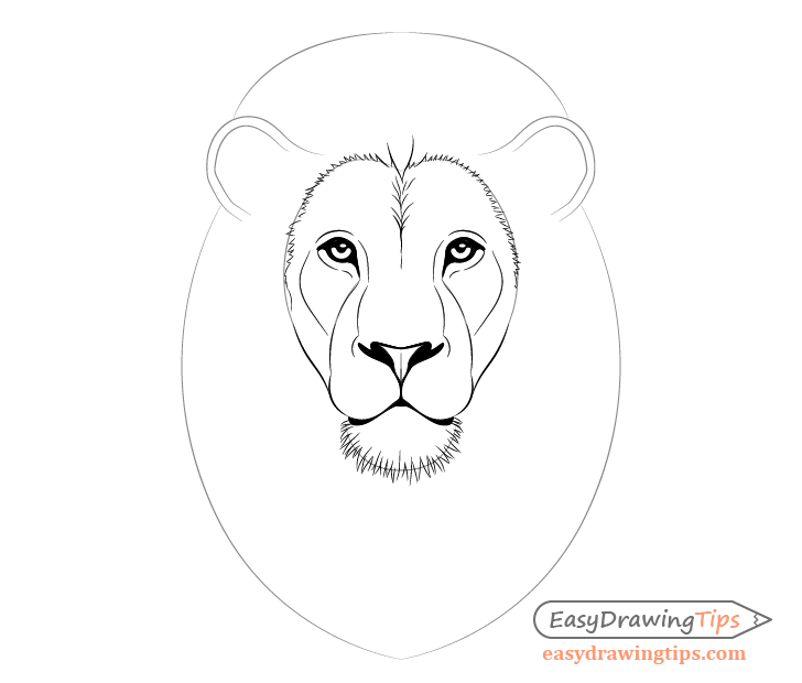 728x620 How To Draw Lion Face Head Step - Easy Drawing Photos