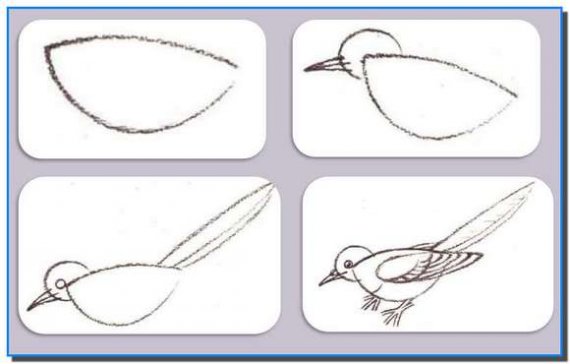 570x364 Easy Drawing For Kids Step - Easy Drawing Pictures For Kids Step By Step