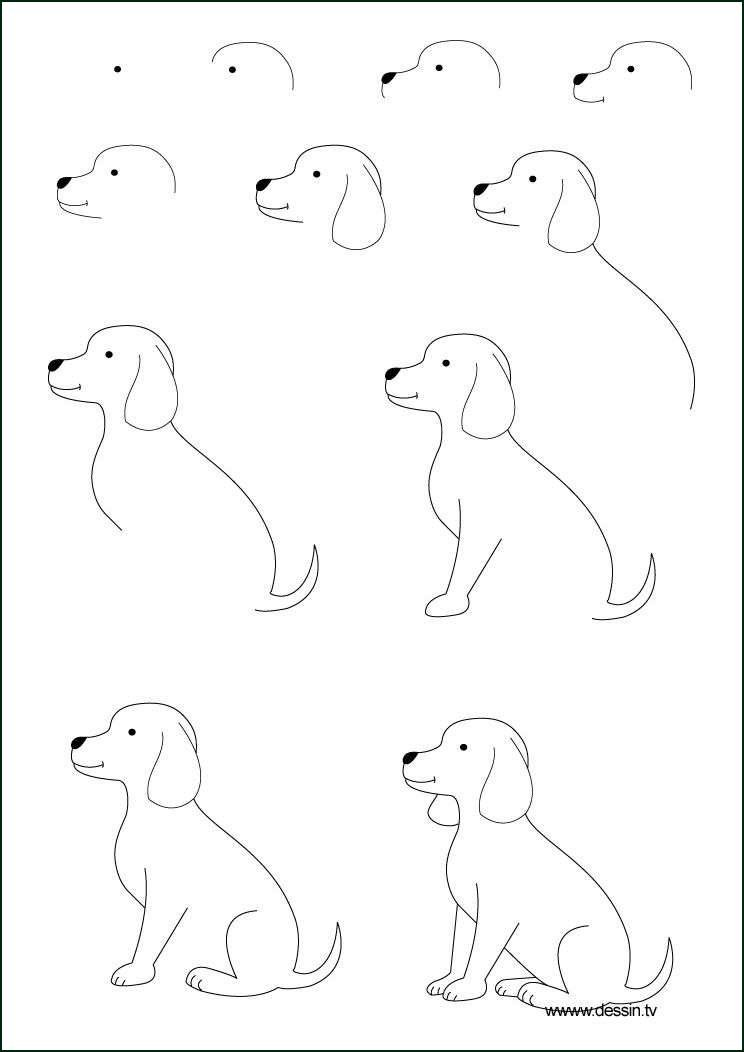 744x1052 Easy Drawing Ideas Step - Easy Drawing Pictures Of Animals