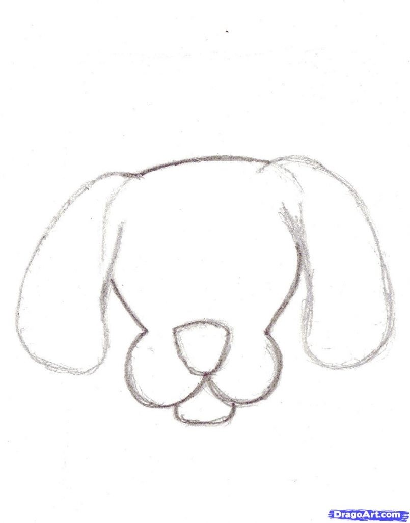 805x1027 easy dogs to draw cartoon drawing dog face tutorial how easily - Easy Drawing Pictures Of Dogs