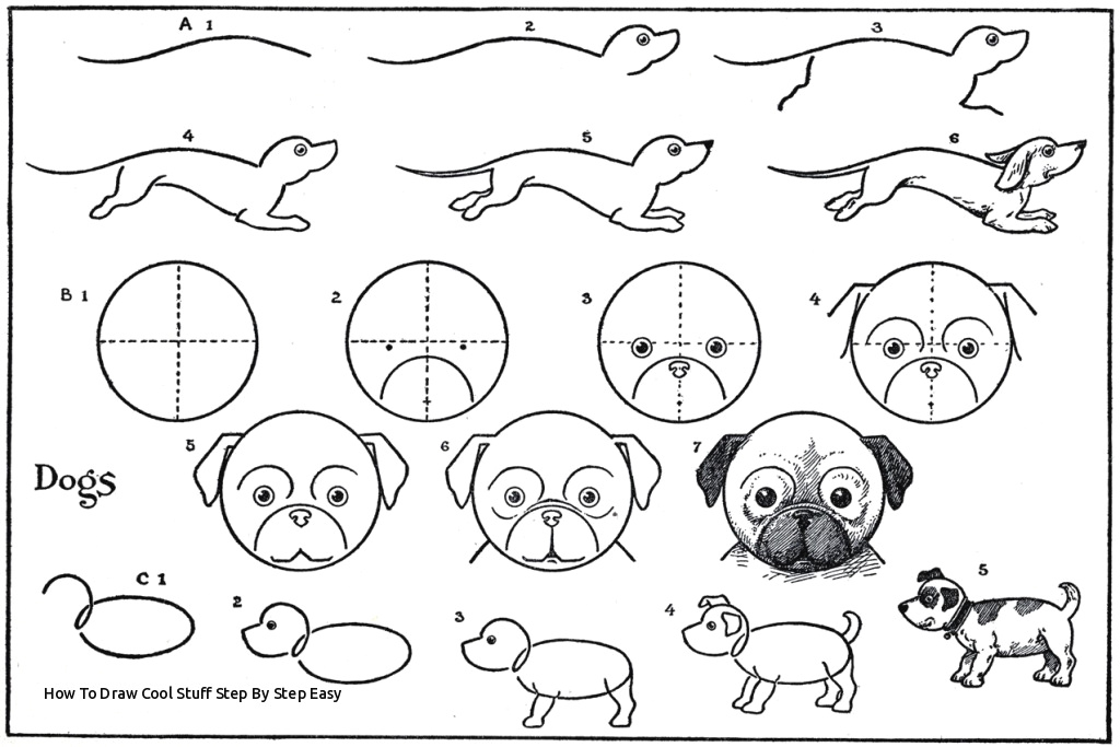 1024x683 easy drawing dogs step - Easy Drawing Pictures Of Dogs