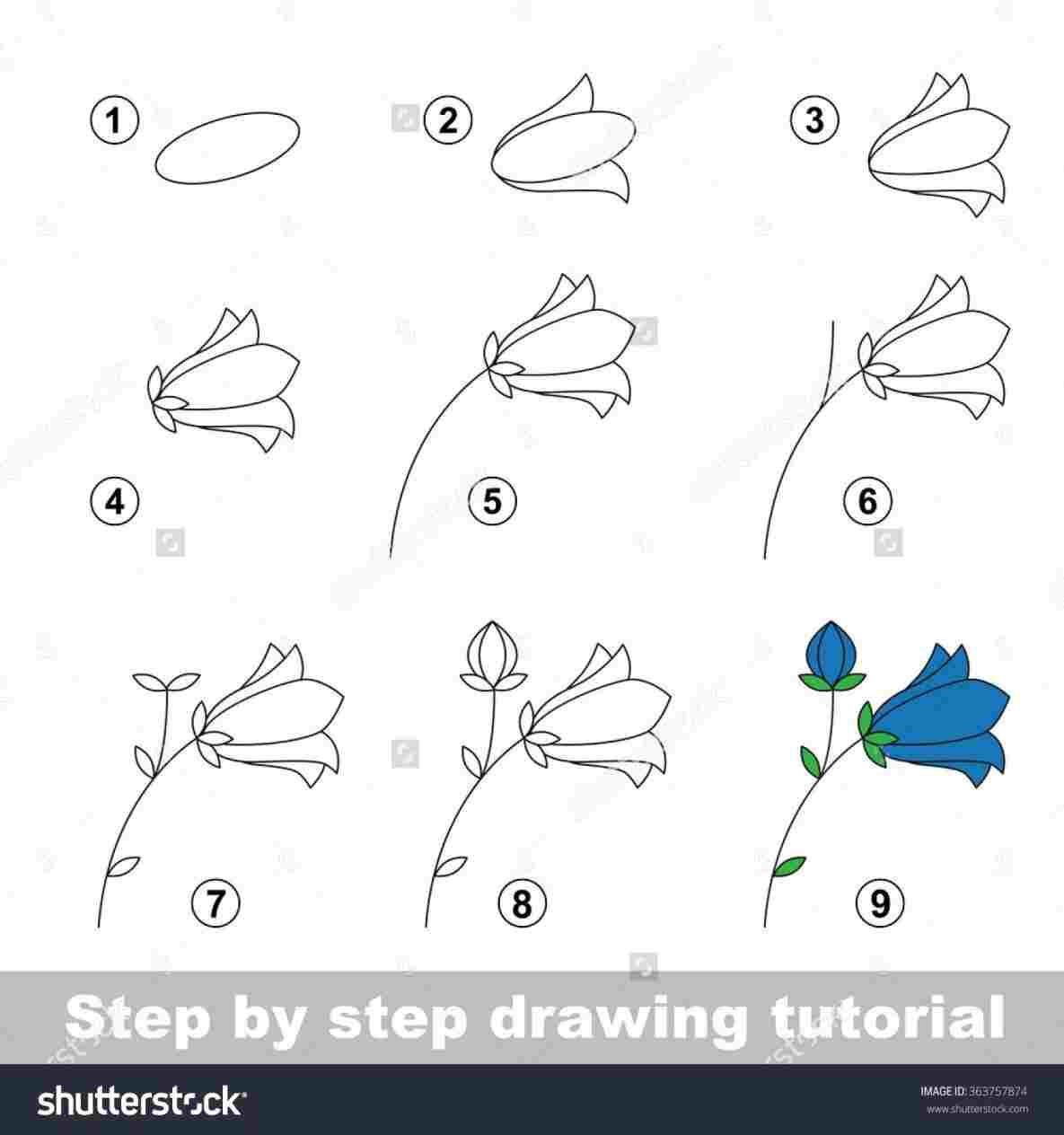 1185x1264 Easy Flower Drawing Tutorials To Draw Flowers Easy Drawing - Easy Drawing Tutorials