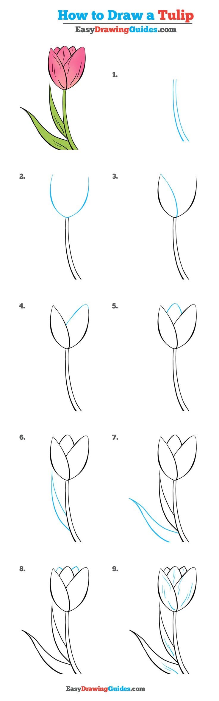 736x2350 How To Draw Flowers And Turn These Drawings Into Really Cool Wall - Easy Drawing Tutorials