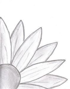 236x300 Daisy Drawing Nature Art Contest Ideas Drawings - Easy Drawings To Draw