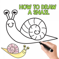 210x210 How To Draw - Easy Drawings To Draw
