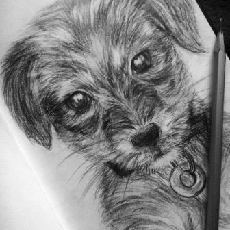 336x336 Cute Dog Drawings Tumblr Cartoon And Easy Halloween Pictures - Easy Drawings Tumblr