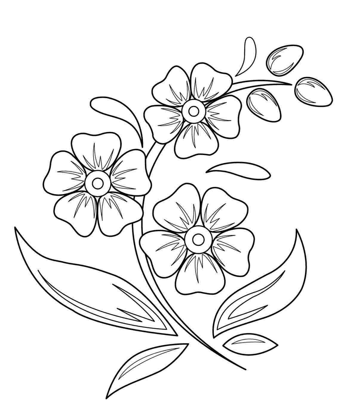 Easy Flower Drawing For Kids at PaintingValley.com | Explore collection