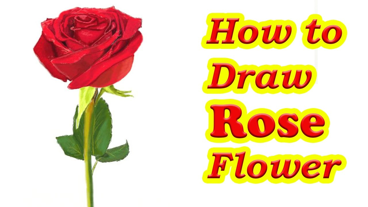 1280x720 Flowers And Roses Drawing How To Draw A Rose Flower Stepstep - Easy Flower Drawing Tutorial