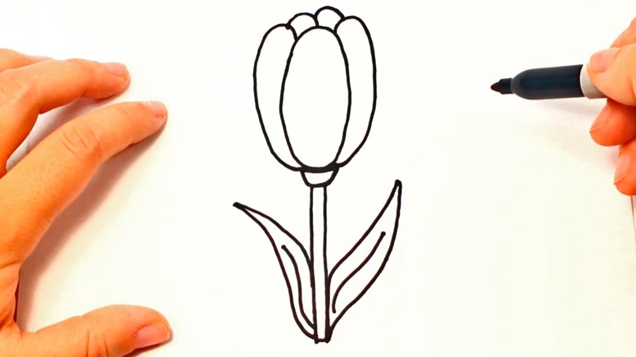 1280x720 How To Draw A Tulip Tulip Flower Easy Draw Tutorial - Easy Flower Drawing Tutorial