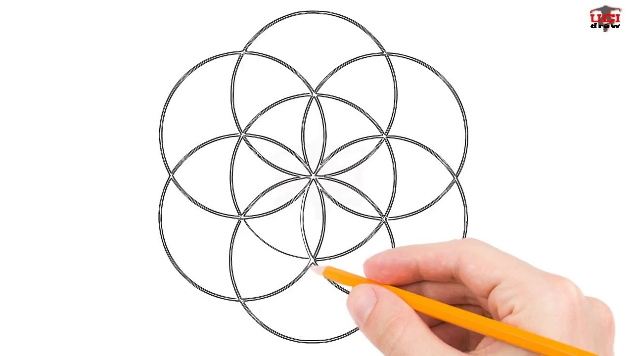 1280x720 Simple Flower Drawing Tutorial And How To Draw The Flower Of Life - Easy Flower Drawing Tutorial