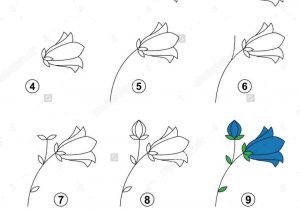 300x210  - Easy Flower Drawing Tutorial