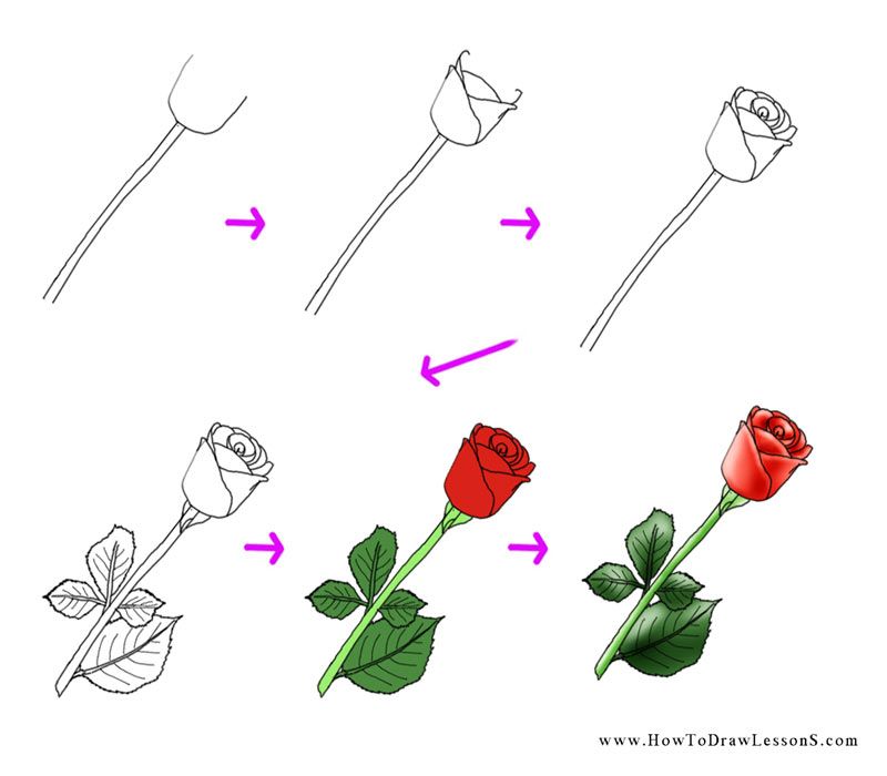 800x700 How To Draw A Flower Tutorial Easy Hand Draw Flowers Easy On Any - Easy Flower Drawing Tutorial