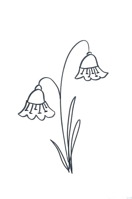 427x640 Pictures Of Flowers To Draw Easy Jalu Club - Easy Flowers Drawing