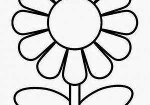 300x210 Easy Flower Drawing Learn To Draw Flowers Of All Kinds - Easy Flowers Drawing