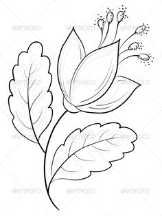 236x314 Easy Flowers To Draw - Easy Flowers Drawing