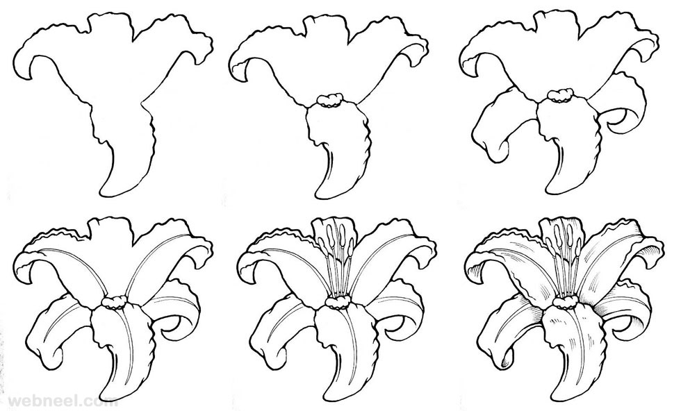 Easy Flowers Drawing Step By Step At Paintingvalleycom