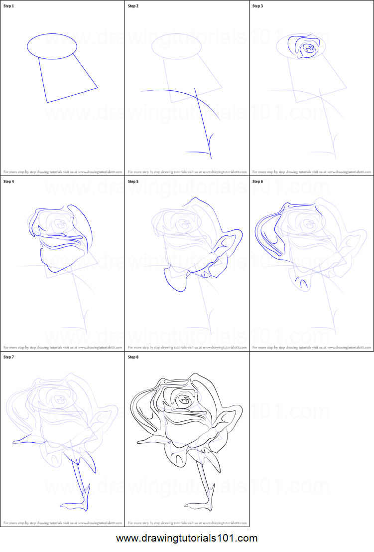 751x1107 How To Draw A Rose Flower Printable Step - Easy Flowers Drawing Step By Step