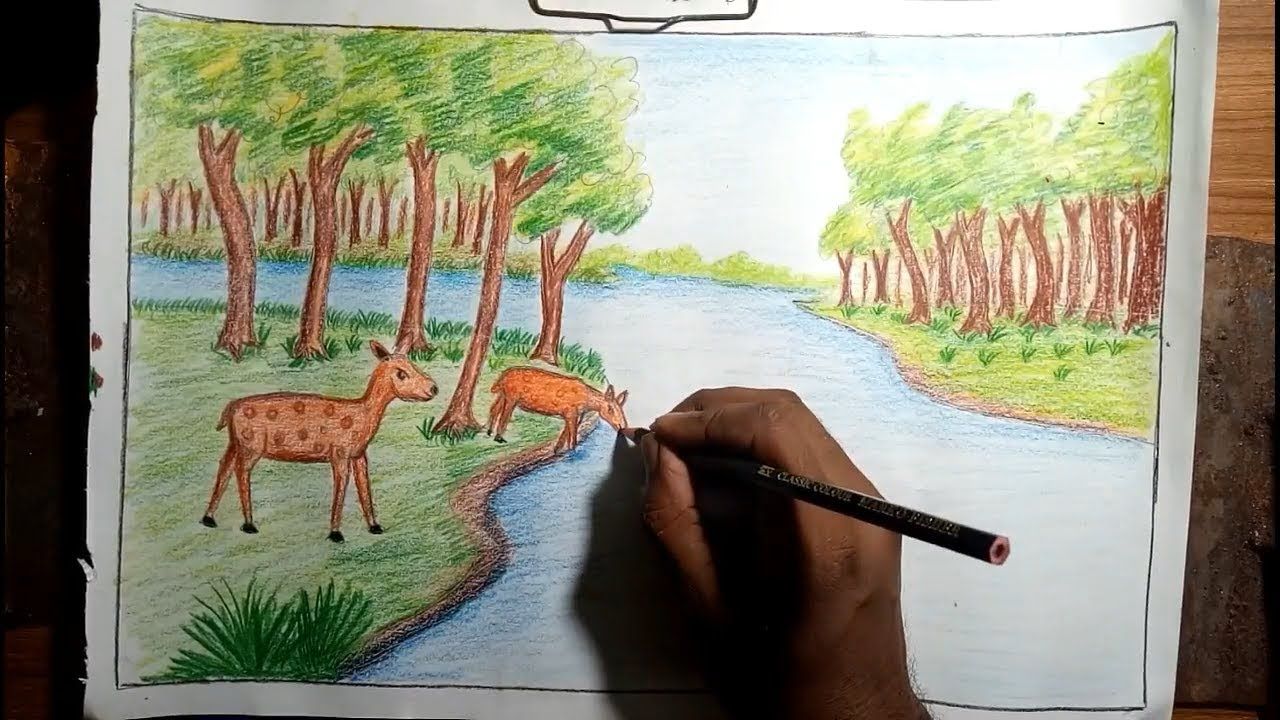 Easy Forest Drawing at Explore collection of Easy