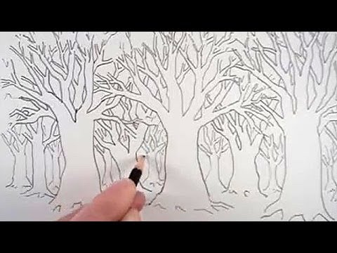 480x360 How To Draw A Tree And A Forest - Easy Forest Drawing
