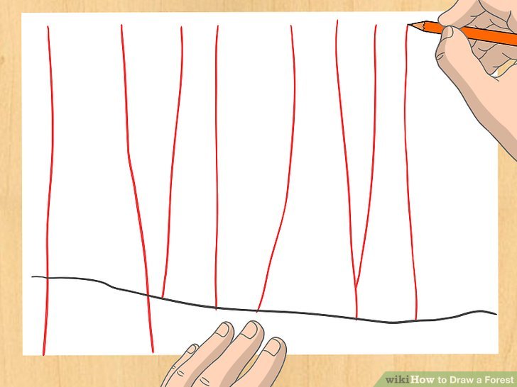 728x546 Ways To Draw A Forest - Easy Forest Drawing