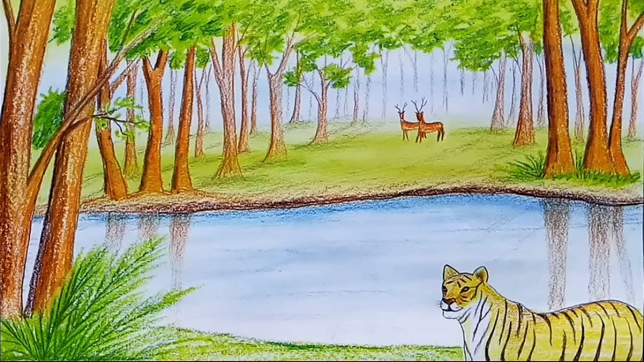 Easy Forest Drawing at PaintingValley.com | Explore collection of Easy