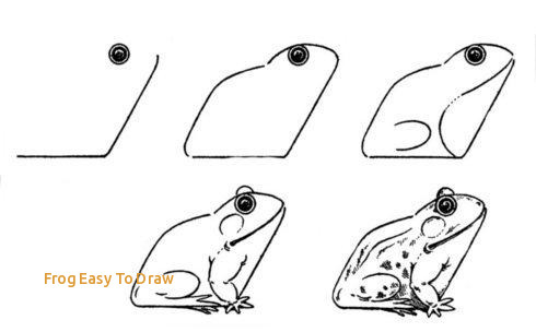 Easy Frog Drawing For Kids at PaintingValley.com | Explore collection