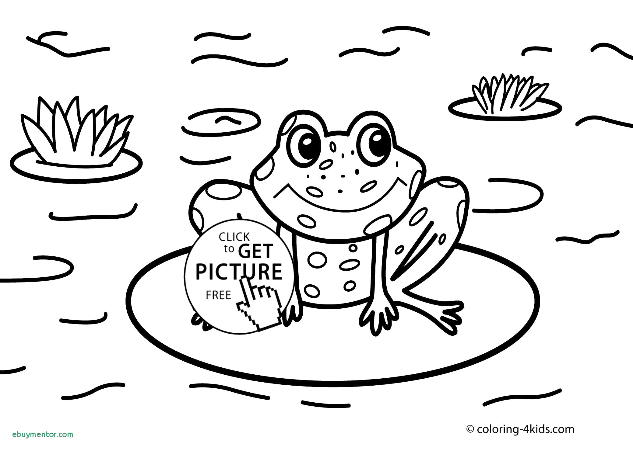 Download Easy Frog Drawing For Kids at PaintingValley.com | Explore ...