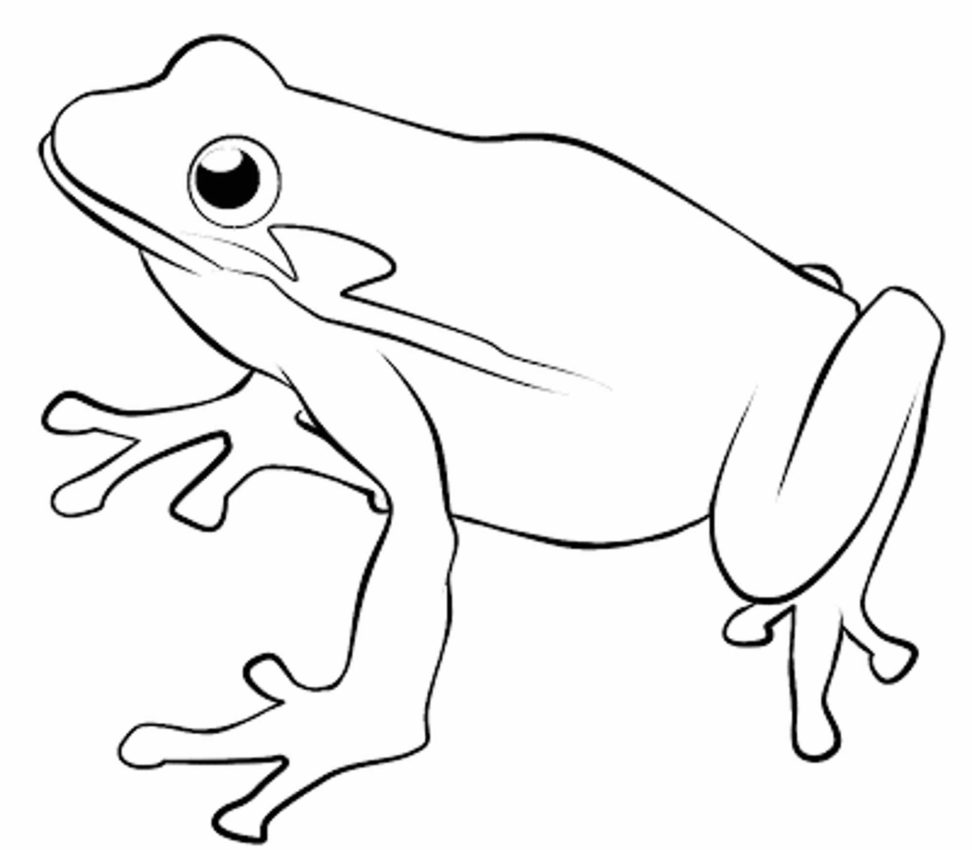2000x1750 easy frog drawing for kids and easy frog drawing for kids line - Easy Frog Drawing For Kids