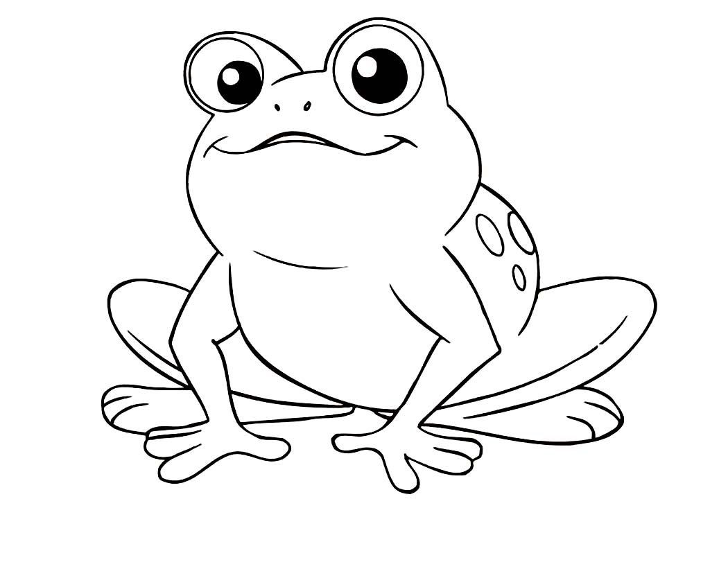 1050x821 free coloring pages with frogs printable coloring - Easy Frog Drawing For Kids