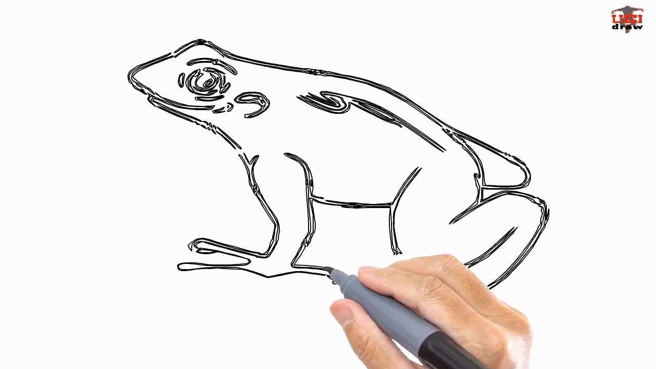 1280x720 frog drawing easy elegant how to draw an easy frog how to draw - Easy Frog Drawing For Kids