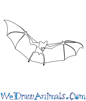 300x350 How To Draw A Ghost Bat - Easy Ghost Drawing