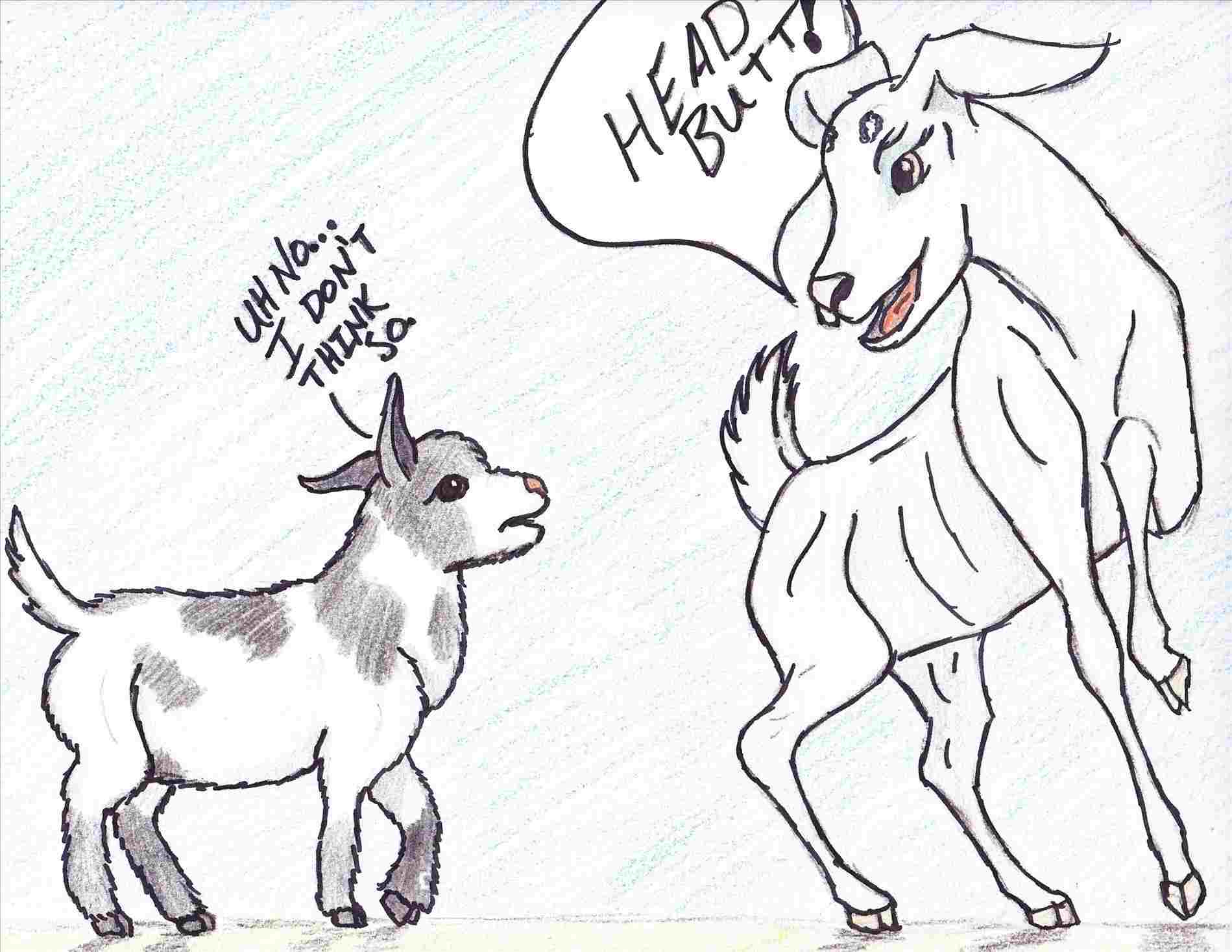 1899x1468 how goats drawing cartoon to draw easy stuff animals goat cute s - Easy Goat Drawing