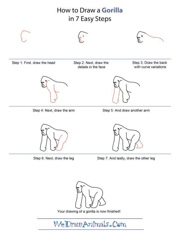 600x776 How To Draw A Gorilla Direct Drawing Drawings, Monkey Art, Art - Easy Gorilla Drawing