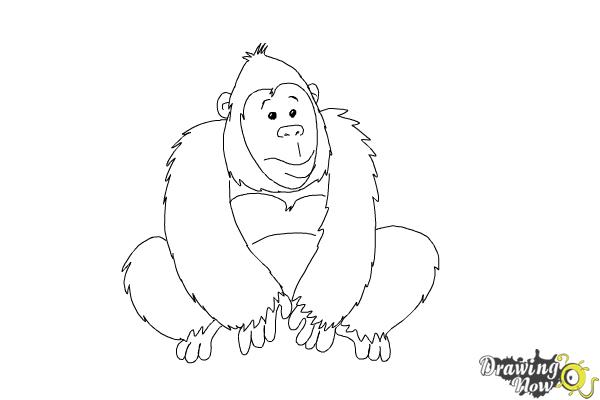 600x400 How To Draw A Gorilla For Kids - Easy Gorilla Drawing