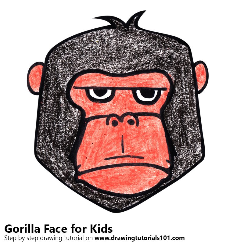 800x800 Learn How To Draw A Gorilla Face For Kids - Easy Gorilla Drawing