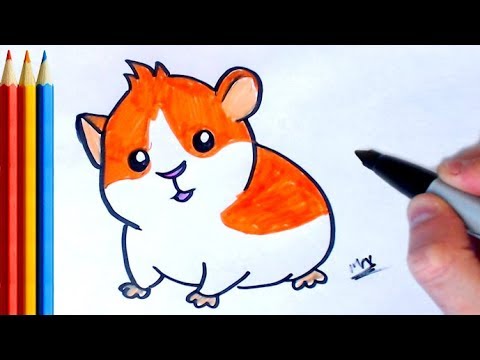 Easy Hamster Drawing at PaintingValley.com | Explore collection of Easy Hamster Drawing