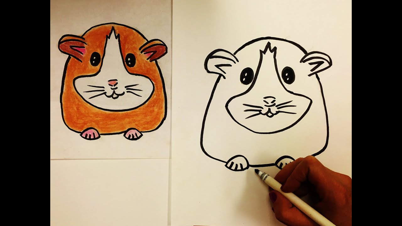 1280x720 how to draw a hamster for kids - Easy Hamster Drawing