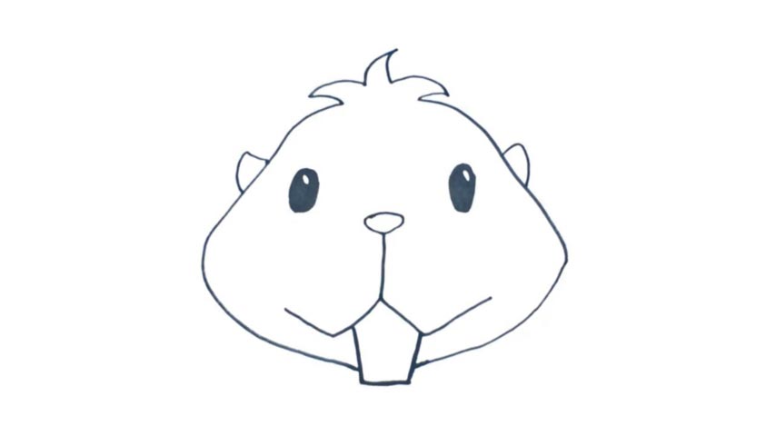 854x480 hamster drawing face for free download - Easy Hamster Drawing