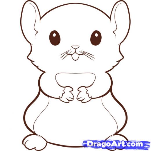 520x520 step how to draw a hamster - Easy Hamster Drawing