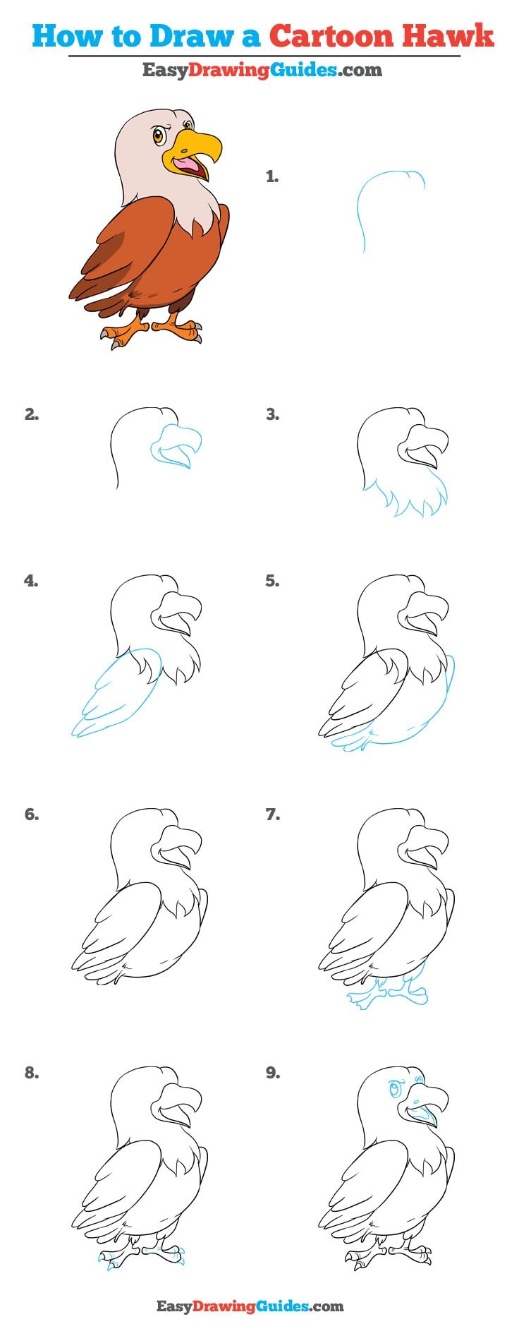 736x1893 How To Draw A Cartoon Hawk Really Easy Drawing Tutorial - Easy Hawk Drawing