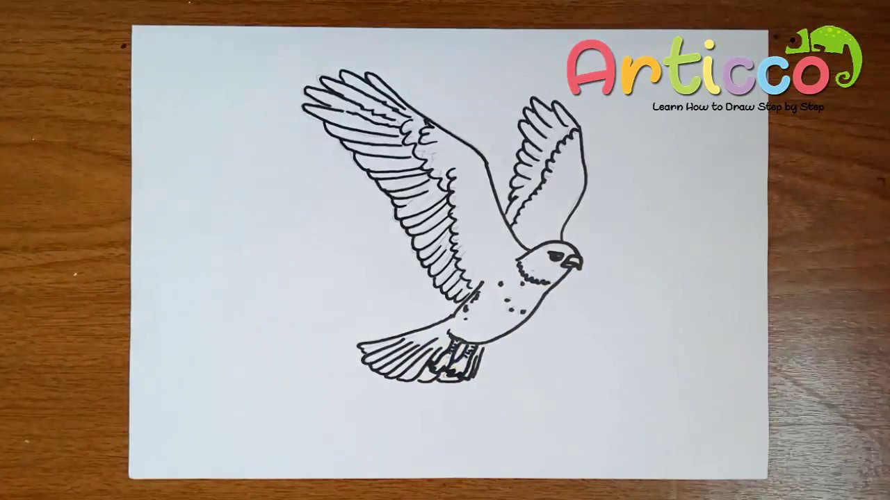 1280x720 How To Draw A Hawk For Kids - Easy Hawk Drawing