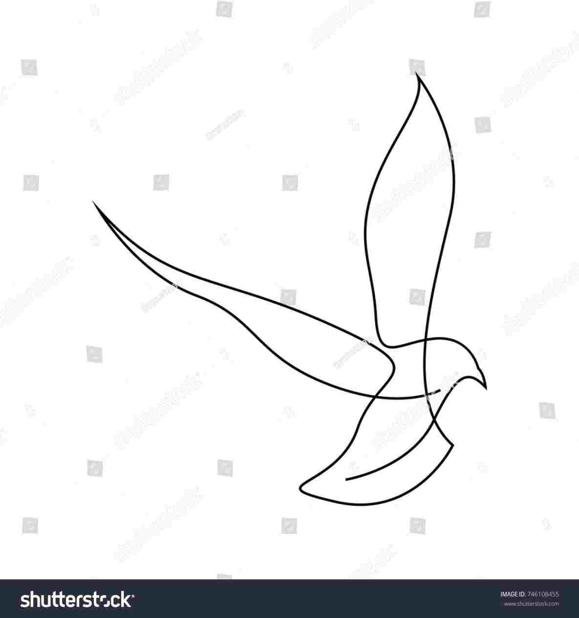 1185x1264 Body Download On Ubisaferhubisafeorg Collection Easy Hawk Drawing - Easy Hawk Drawing