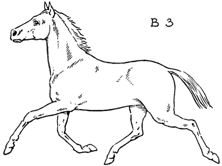 450x337 How To Draw Horses With Easy Step - Easy Horse Drawing Step By Step