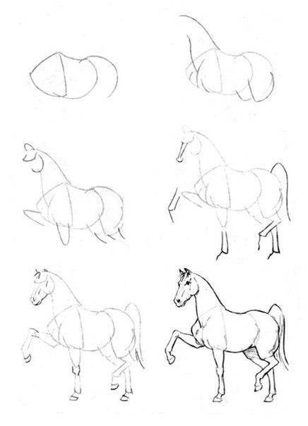 436x604 How To Draw A Horse Painting Drawings, Horse Drawings, Art - Easy Horse Drawing Step By Step